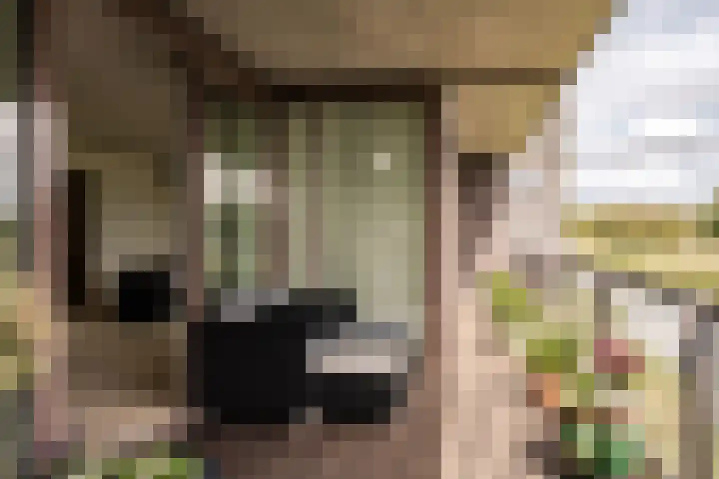 L. Springerstraat 140 Velserbroek thumbnail 8