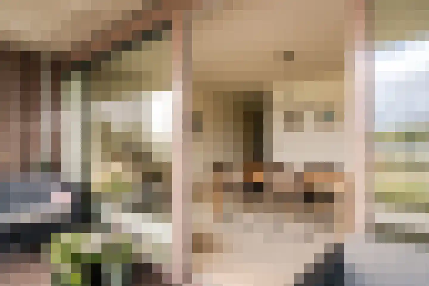 L. Springerstraat 140 Velserbroek thumbnail 9