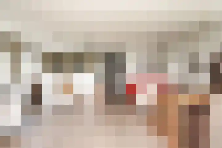 L. Springerstraat 160 Velserbroek thumbnail 8
