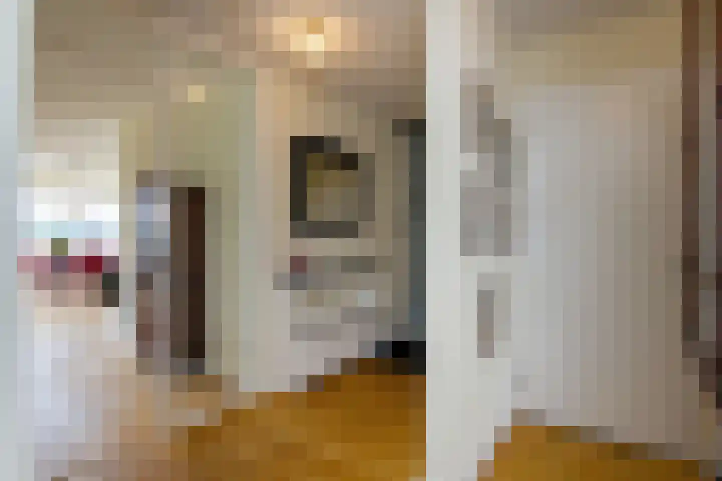 L. Springerstraat 180 Velserbroek thumbnail 28