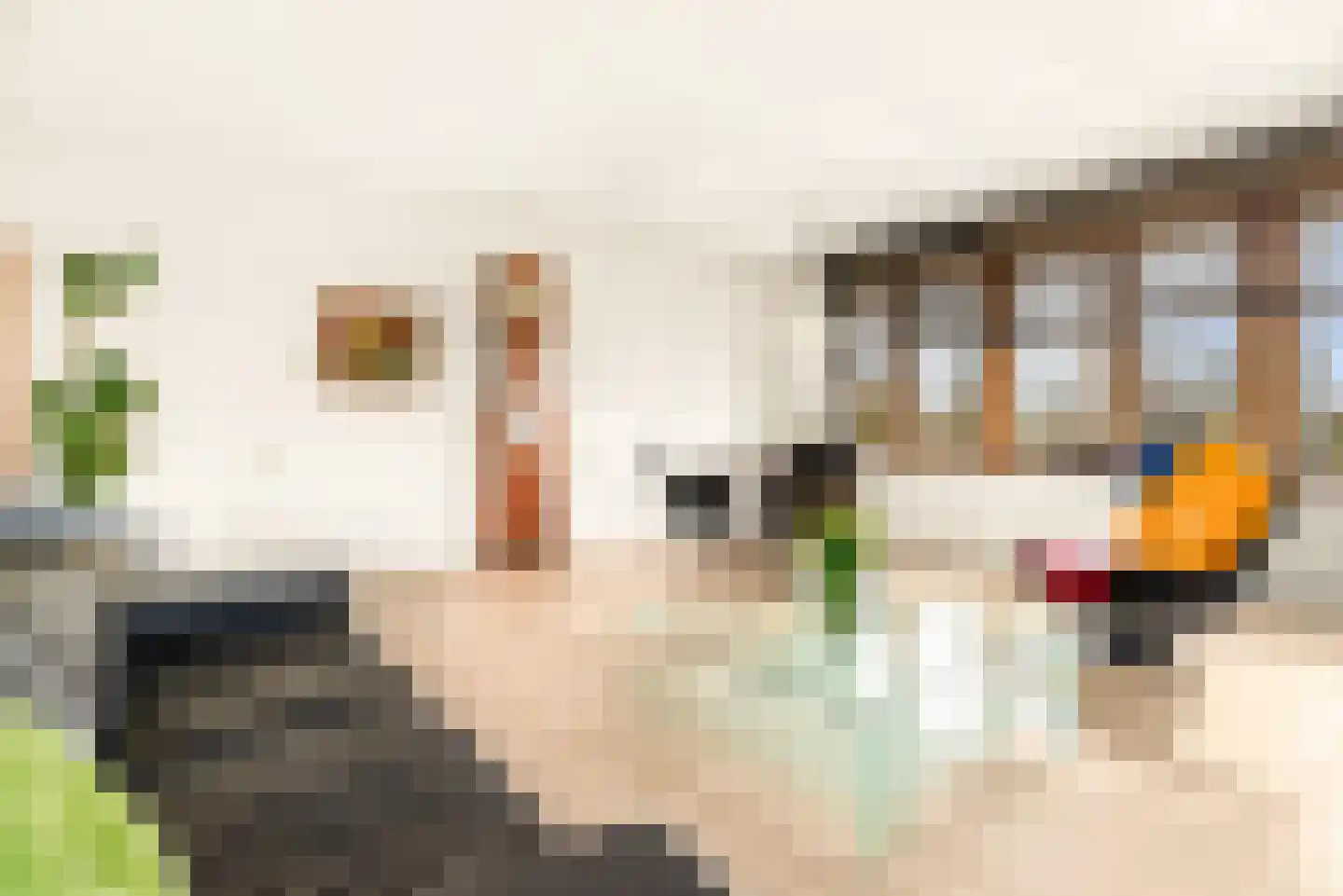 L. Springerstraat 242 Velserbroek thumbnail 19