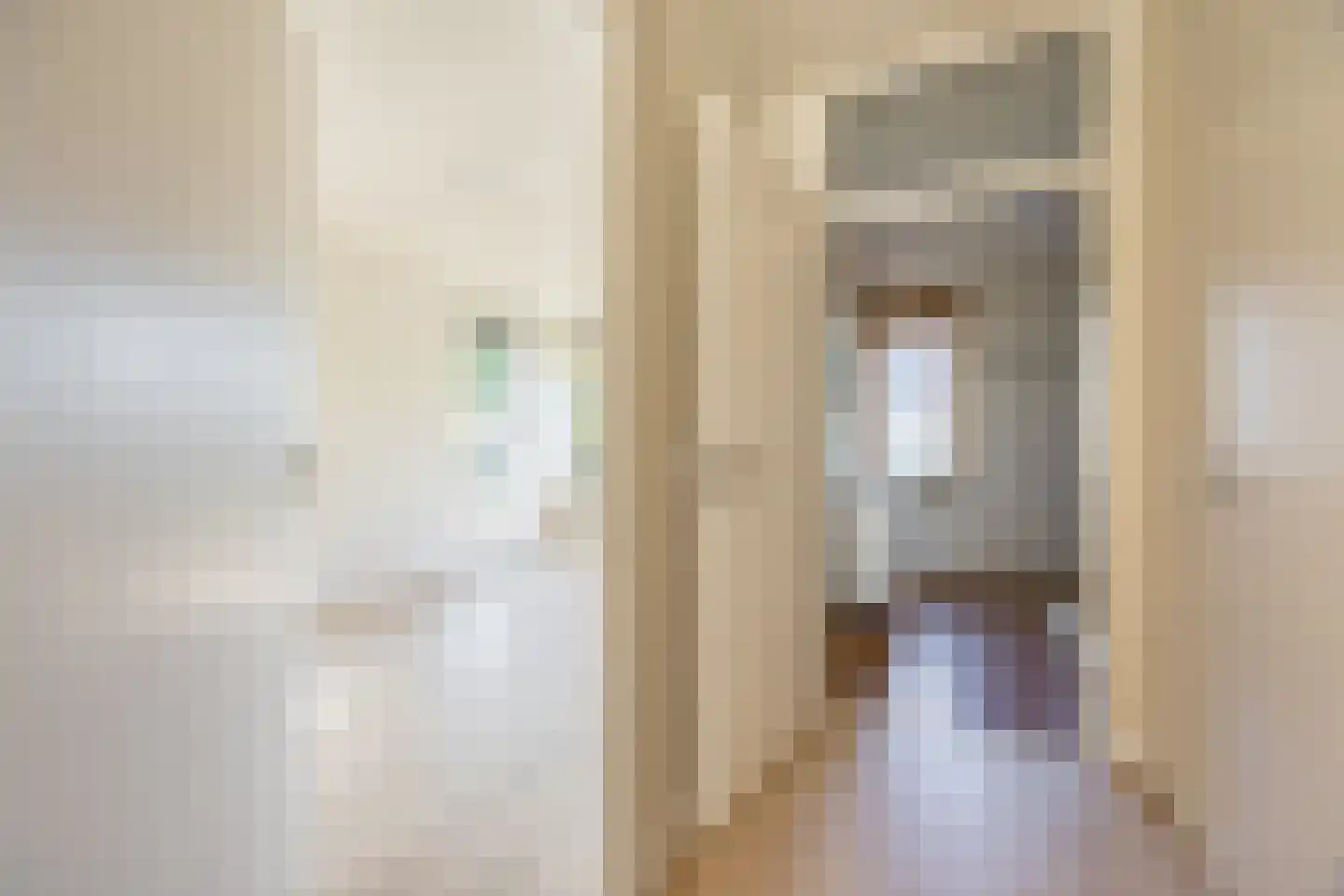 L. Springerstraat 242 Velserbroek thumbnail 21