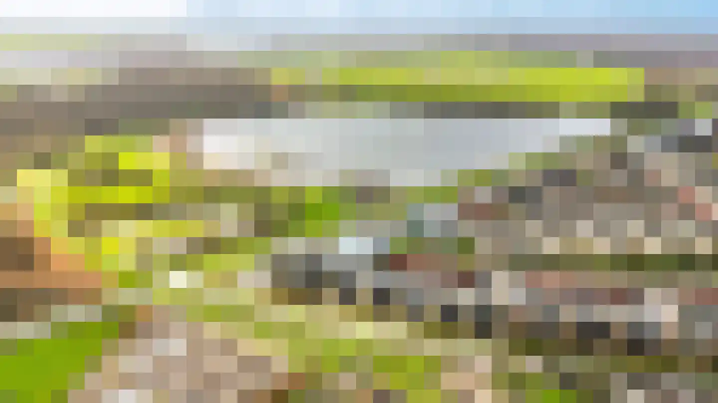 L. Springerstraat 242 Velserbroek thumbnail 34