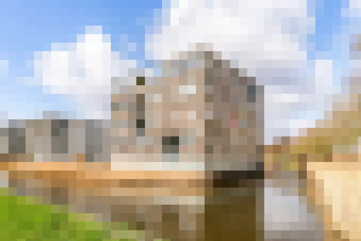 L. Springerstraat 242 Velserbroek thumbnail 37