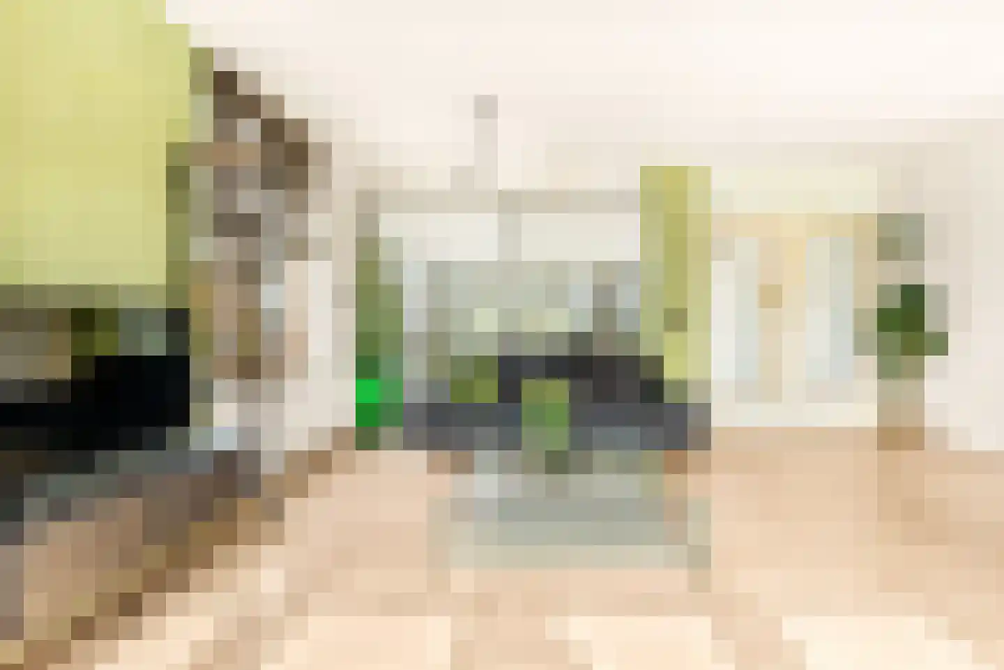 L. Springerstraat 242 Velserbroek thumbnail 4