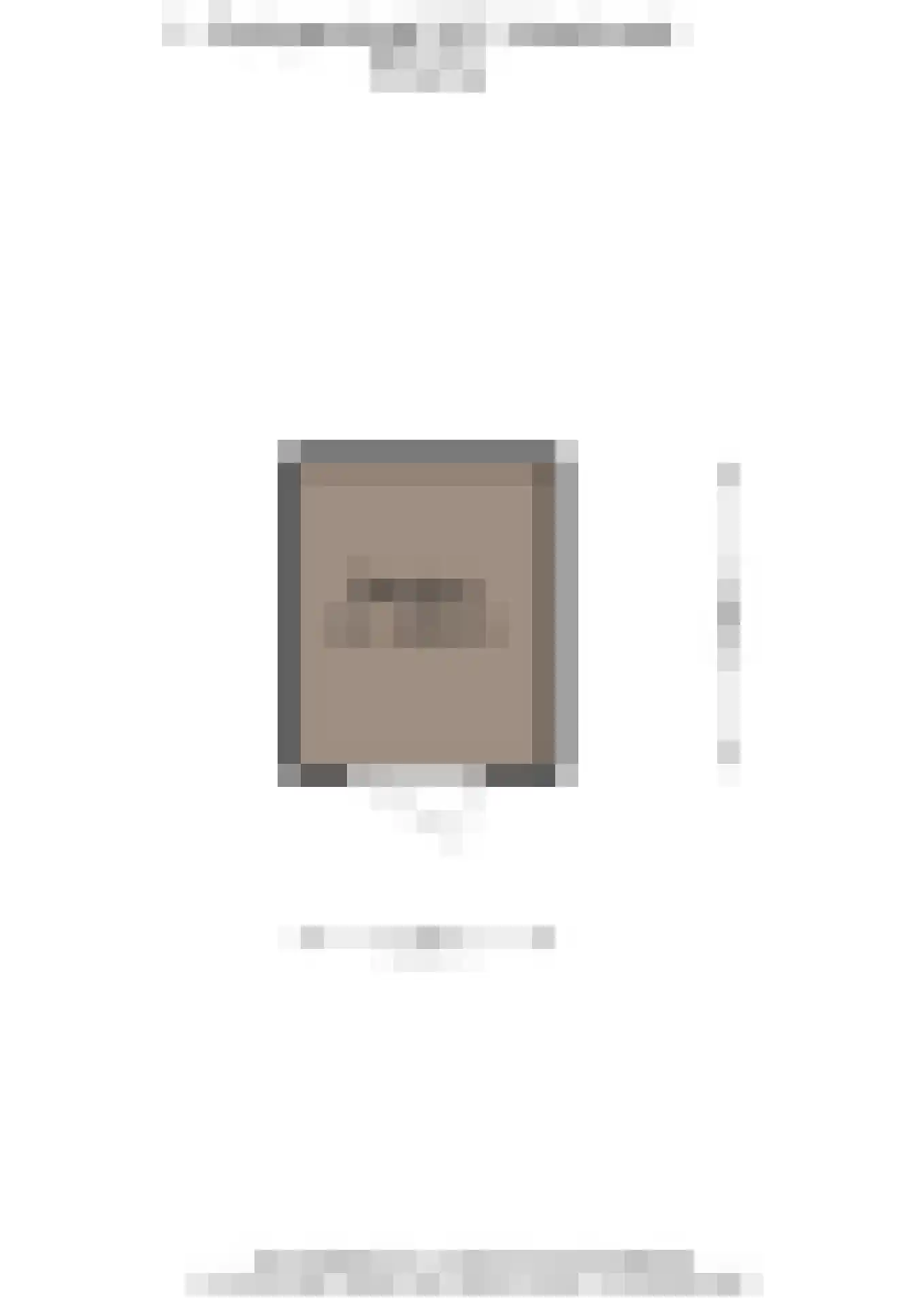 L. Springerstraat 242 Velserbroek thumbnail 49