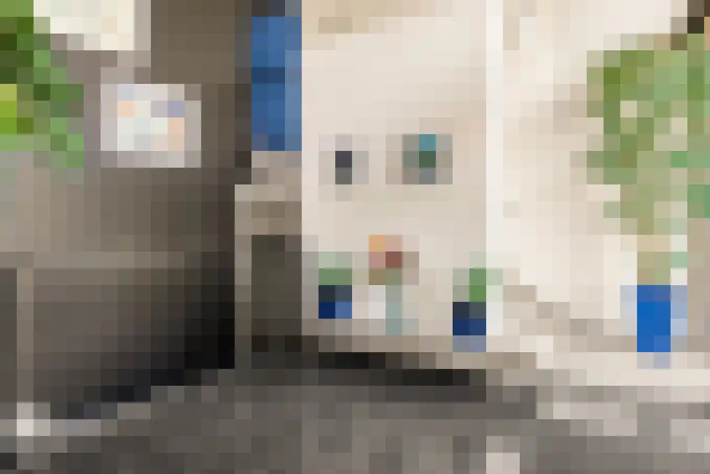 L. Springerstraat 252 Velserbroek thumbnail 11