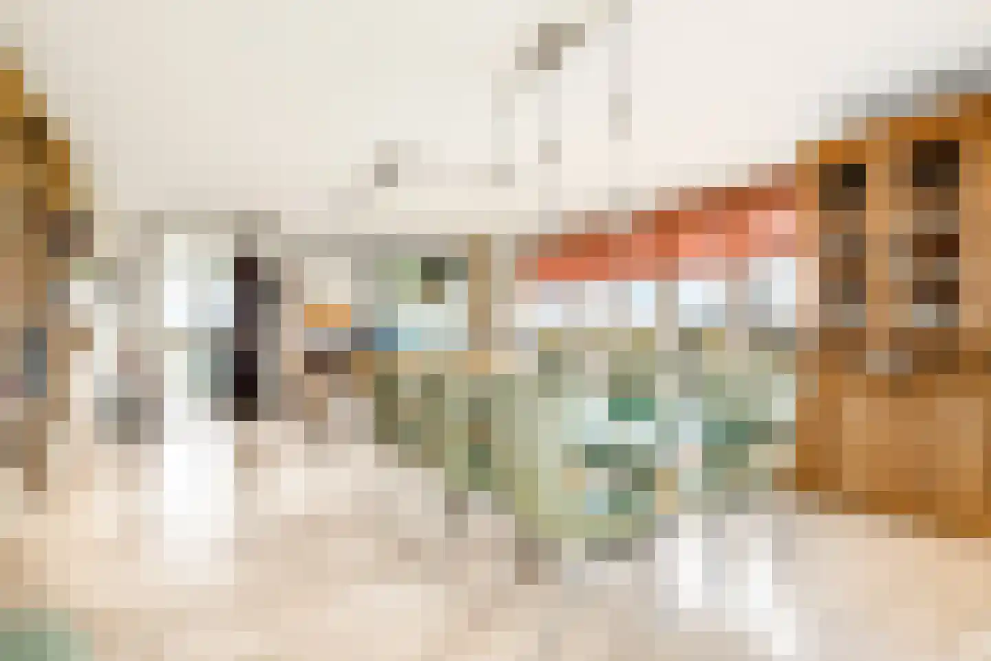 L. Springerstraat 252 Velserbroek thumbnail 23