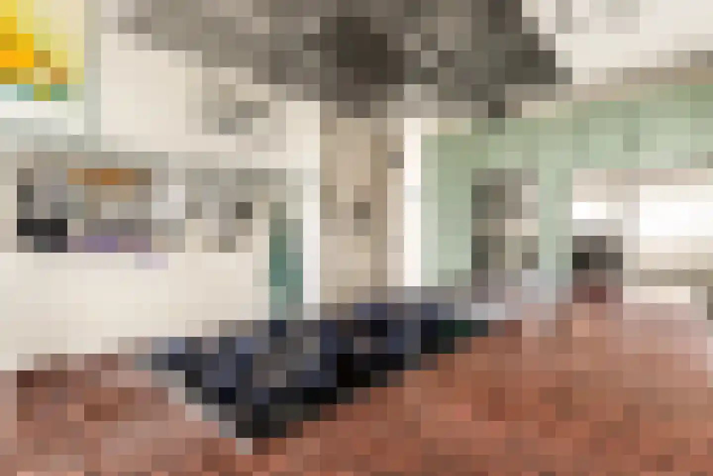 L. Springerstraat 252 Velserbroek thumbnail 44