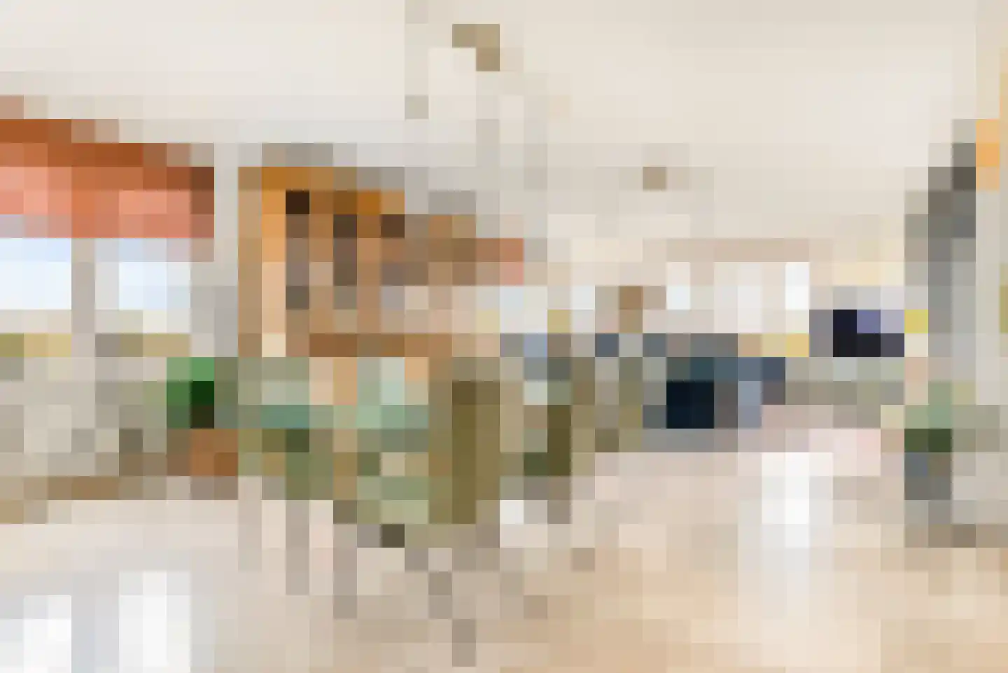 L. Springerstraat 252 Velserbroek thumbnail 5