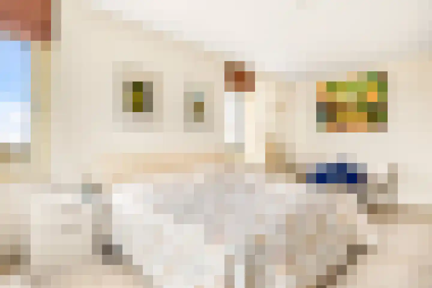 L. Springerstraat 252 Velserbroek thumbnail 60