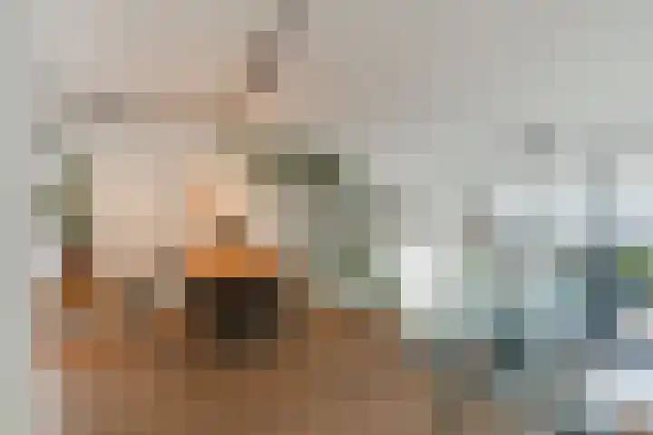 L. Springerstraat 64 Velserbroek thumbnail 16