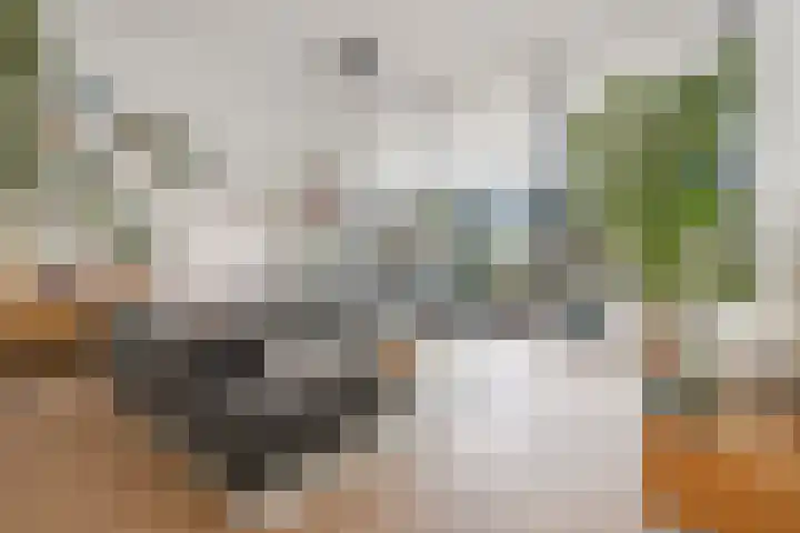 L. Springerstraat 64 Velserbroek thumbnail 4