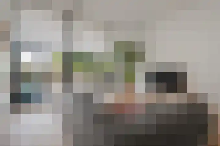 L. Springerstraat 64 Velserbroek thumbnail 7