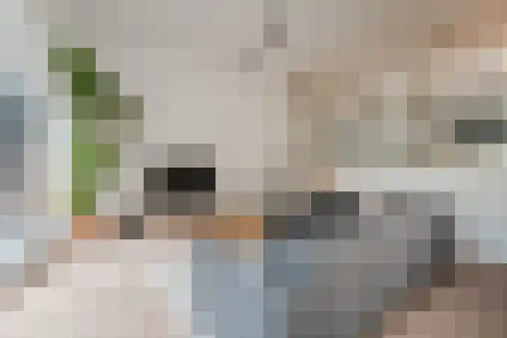 L. Springerstraat 64 Velserbroek thumbnail 8