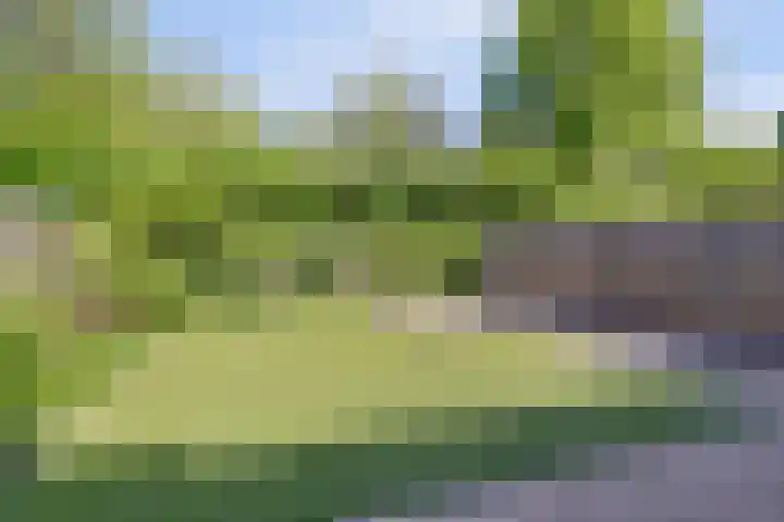 L.T.M.-weg 104 Heerlen thumbnail 27