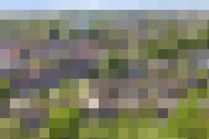 L.T.M.-weg 104 Heerlen thumbnail 35