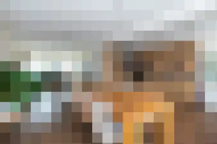 L. van Deijsselstraat 6 Papendrecht thumbnail 10