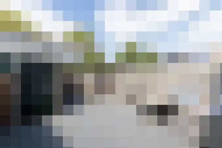 L. van Deijsselstraat 6 Papendrecht thumbnail 4