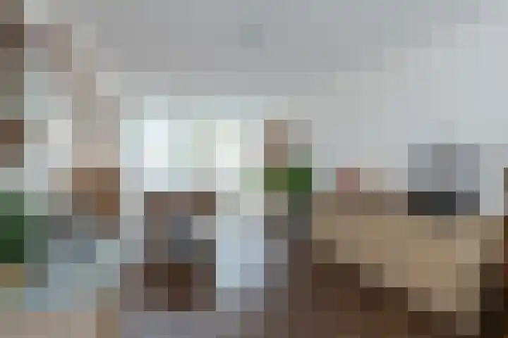 L. van Deijsselstraat 6 Papendrecht thumbnail 8