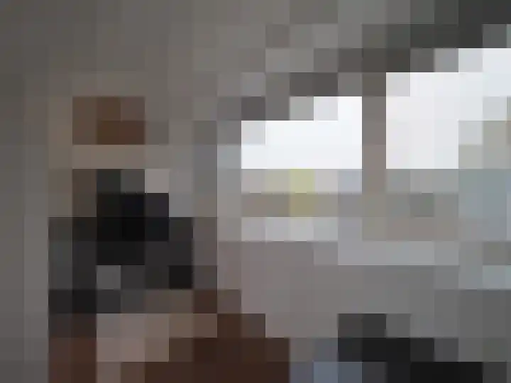 L. van Deijsselstraat 8 Papendrecht thumbnail 40