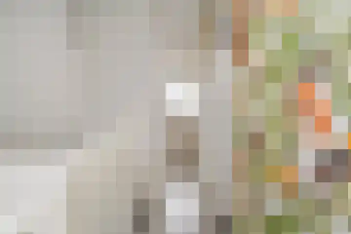 L. van Vuurdestraat 21 Den Haag thumbnail 44