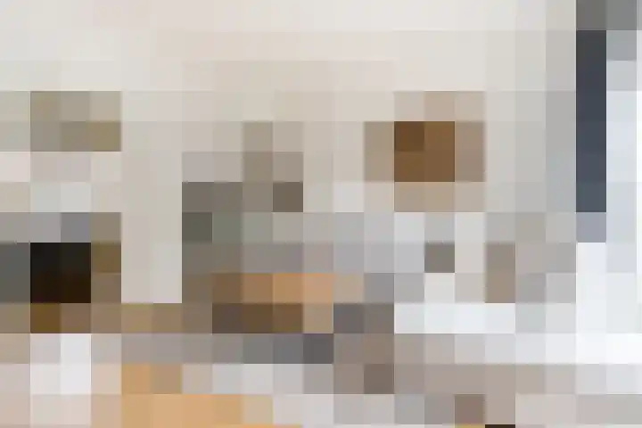 L Verdoornstraat 1 Werkendam thumbnail 24