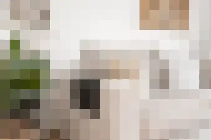 L Verdoornstraat 1 Werkendam thumbnail 28