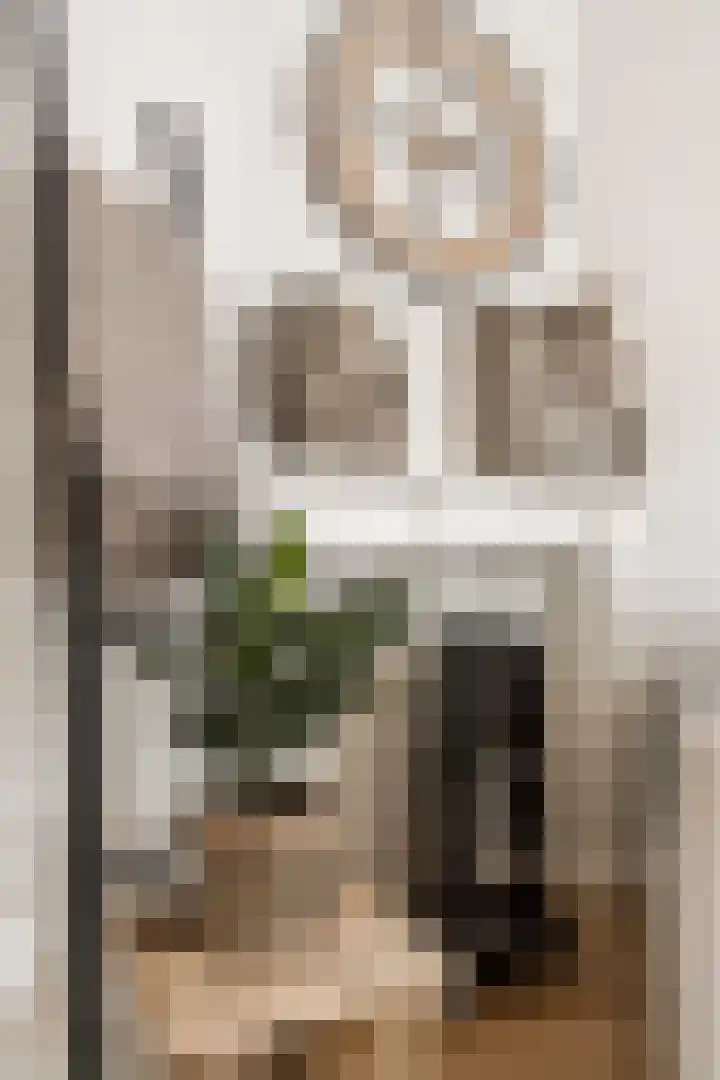 L Verdoornstraat 1 Werkendam thumbnail 29