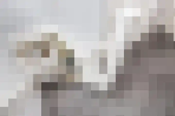L Verdoornstraat 1 Werkendam thumbnail 31