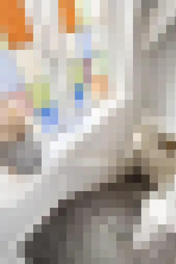 L Verdoornstraat 1 Werkendam thumbnail 34