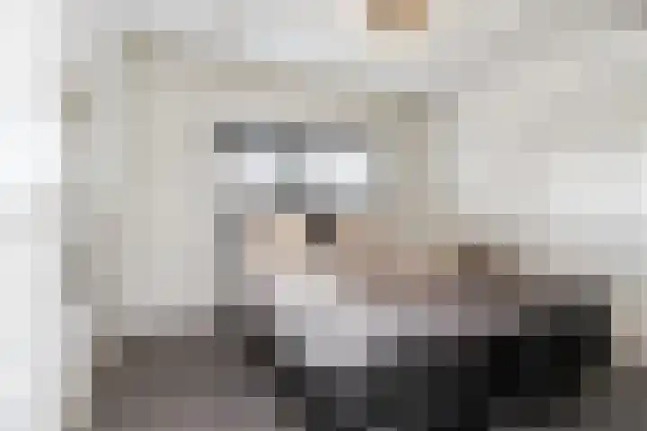 L Verdoornstraat 1 Werkendam thumbnail 35
