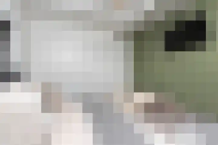 L Verdoornstraat 1 Werkendam thumbnail 36