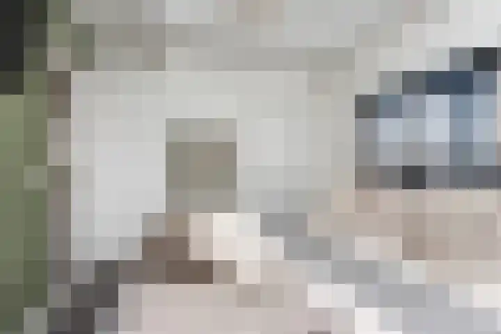 L Verdoornstraat 1 Werkendam thumbnail 37