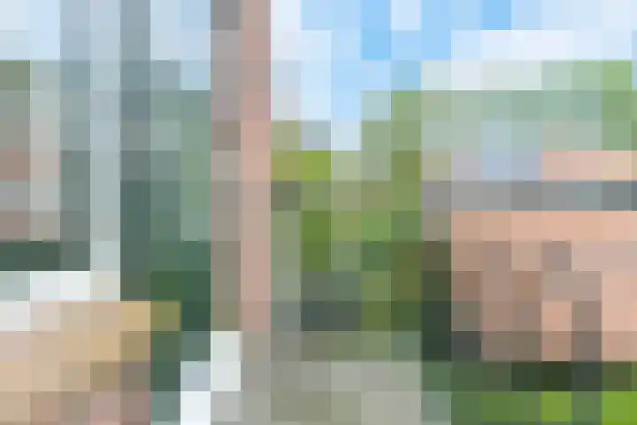 L Verdoornstraat 1 Werkendam thumbnail 42