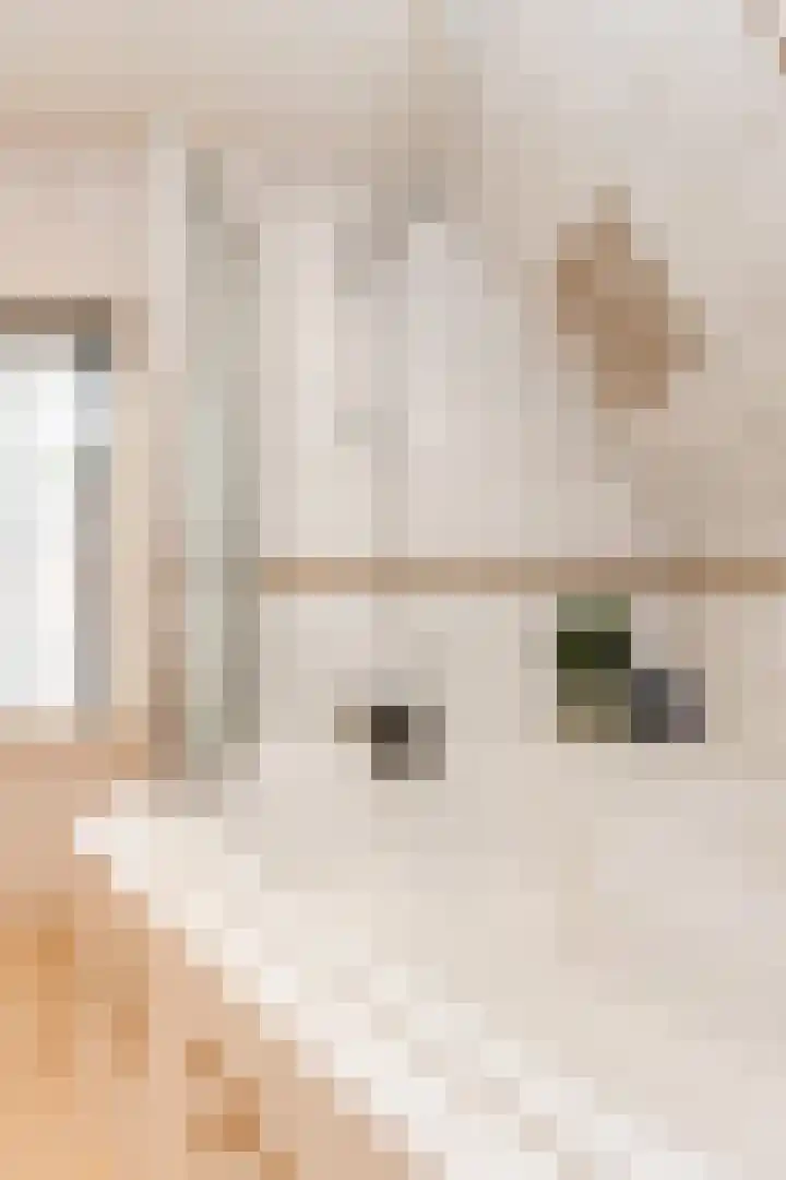 L Verdoornstraat 1 Werkendam thumbnail 47
