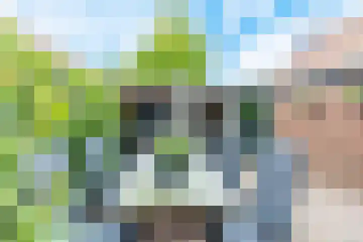 L Verdoornstraat 1 Werkendam thumbnail 61
