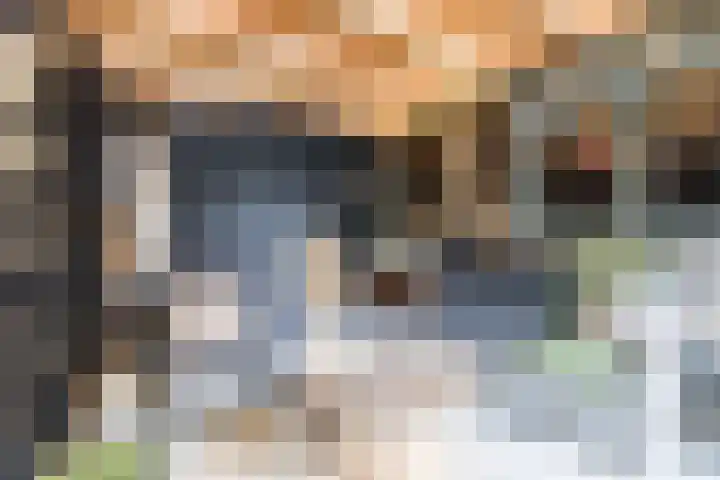 L Verdoornstraat 1 Werkendam thumbnail 66