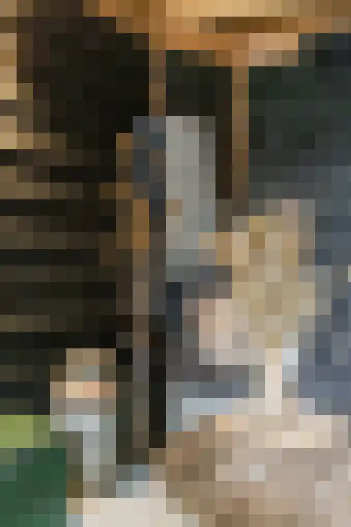 L Verdoornstraat 1 Werkendam thumbnail 68