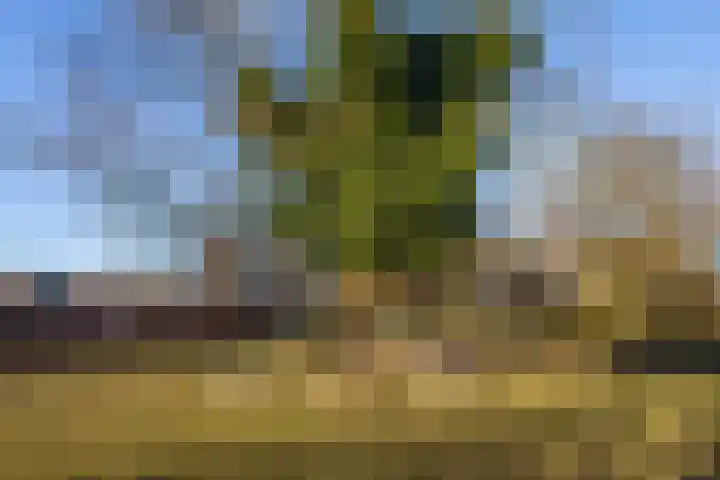 L Verdoornstraat 1 Werkendam thumbnail 69