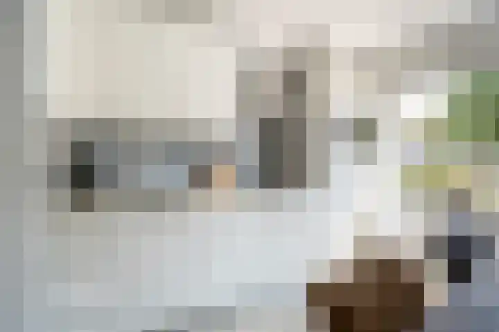 L. Wildschutstraat 13 Meteren thumbnail 7