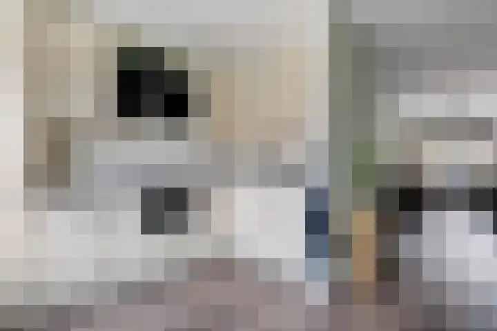 L. Wildschutstraat 25 Meteren thumbnail 12