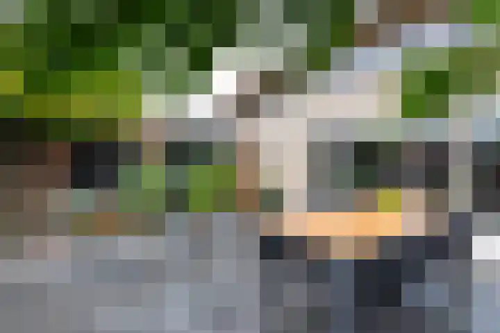 L. Wildschutstraat 25 Meteren thumbnail 30