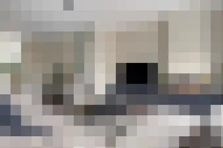L. Wildschutstraat 25 Meteren thumbnail 7