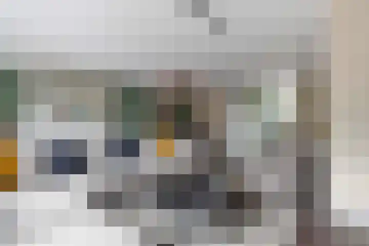L. Wildschutstraat 25 Meteren thumbnail 8
