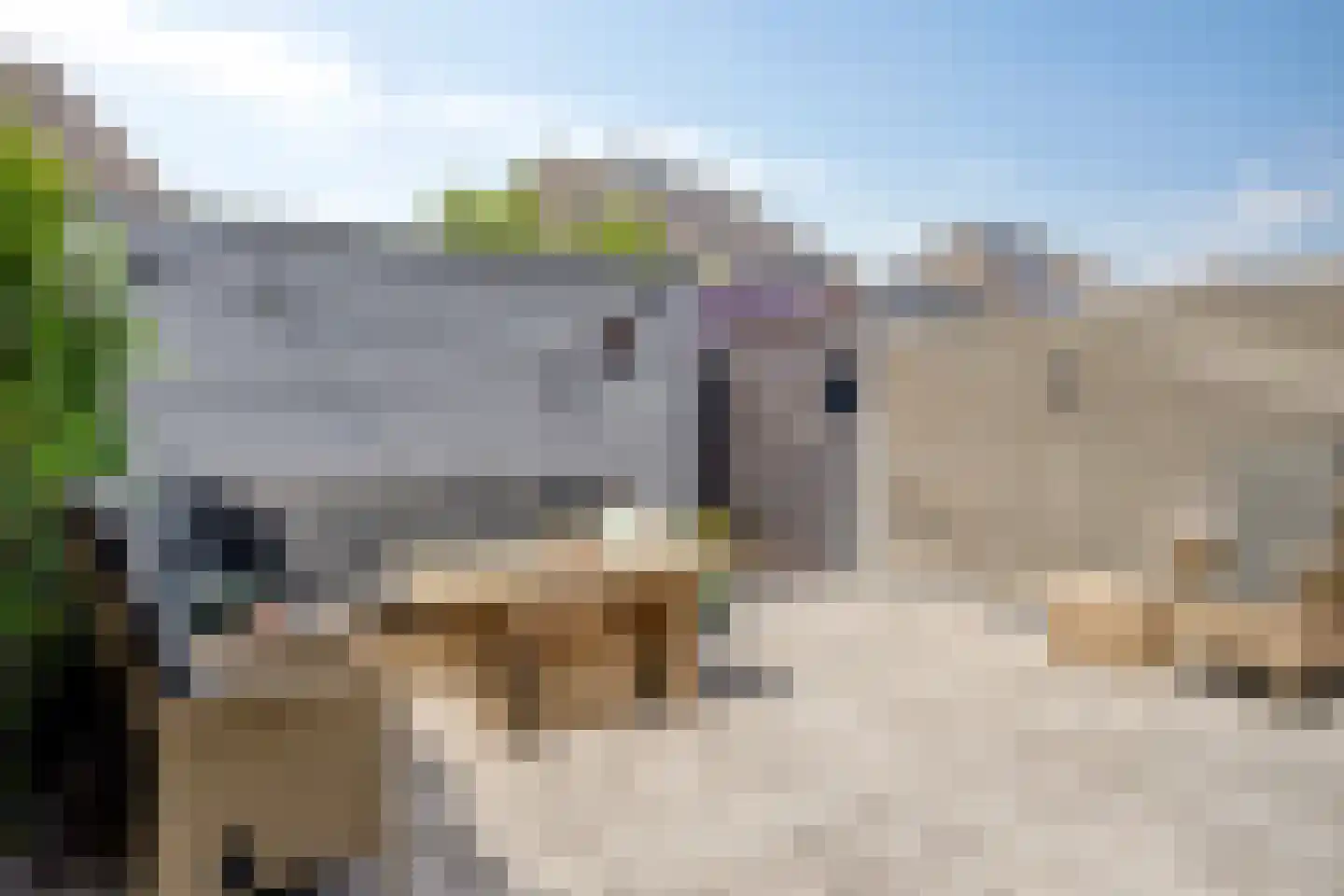 L. Wildschutstraat 75 Meteren thumbnail 28