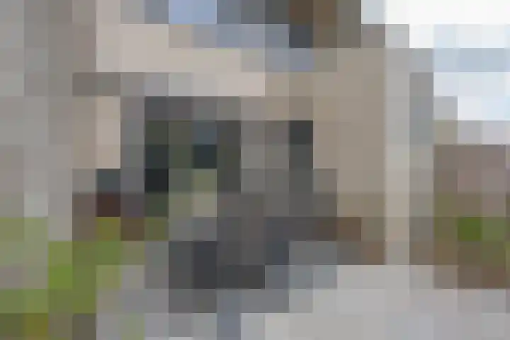 L. Wildschutstraat 83 Meteren thumbnail 31