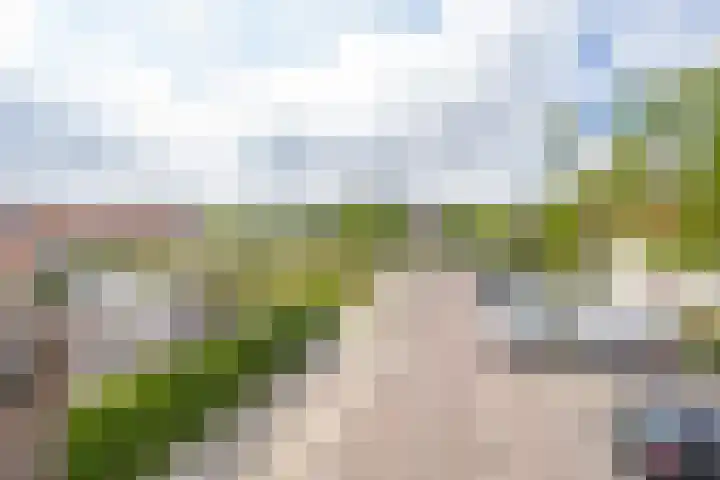 L. Wildschutstraat 83 Meteren thumbnail 4
