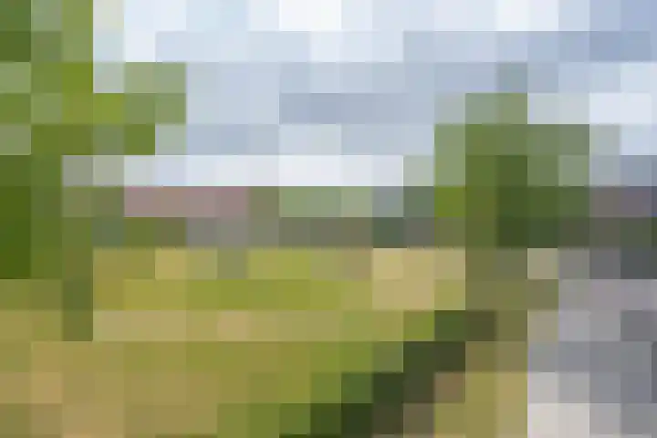 L. Wildschutstraat 83 Meteren thumbnail 5