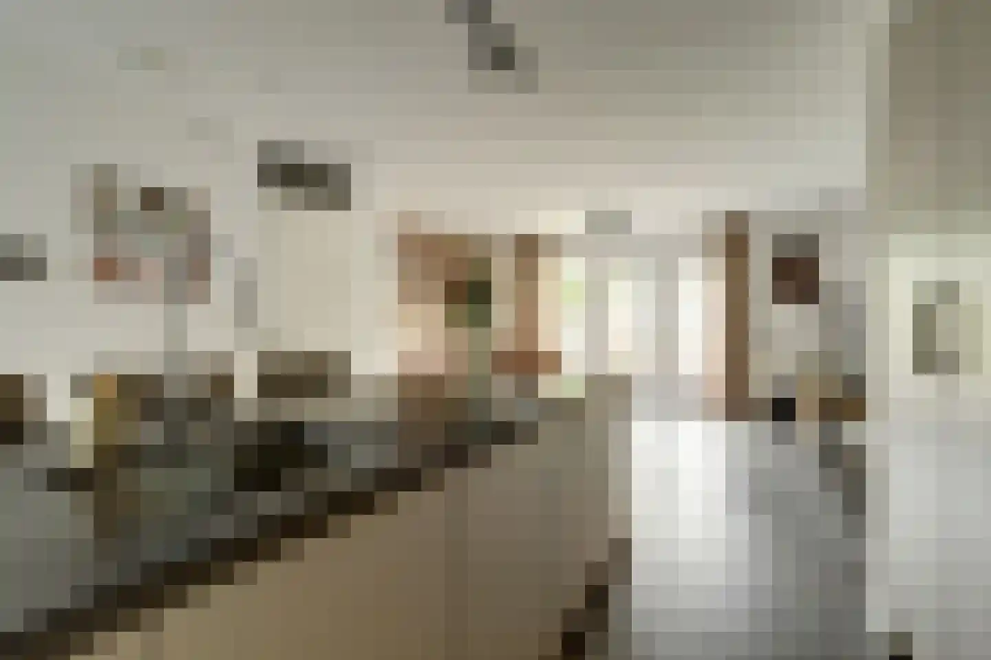 L. Wildschutstraat 91 Meteren thumbnail 12